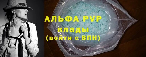 ПСИЛОЦИБИНОВЫЕ ГРИБЫ Лихославль