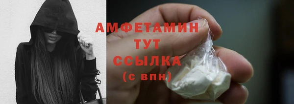 молекула духа Магадан