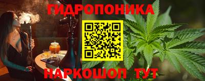 метадон Берёзовский