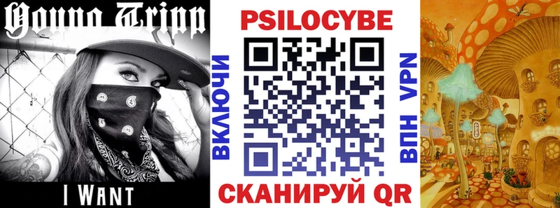 Псилоцибиновые грибы GOLDEN TEACHER  Омск 