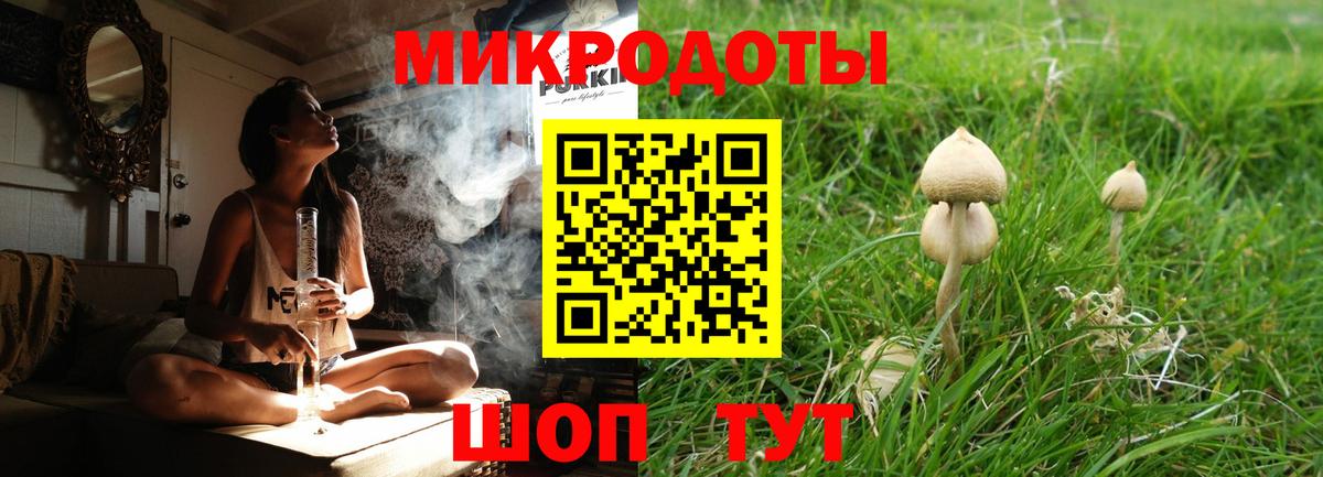 Псилоцибиновые грибы Cubensis Омск