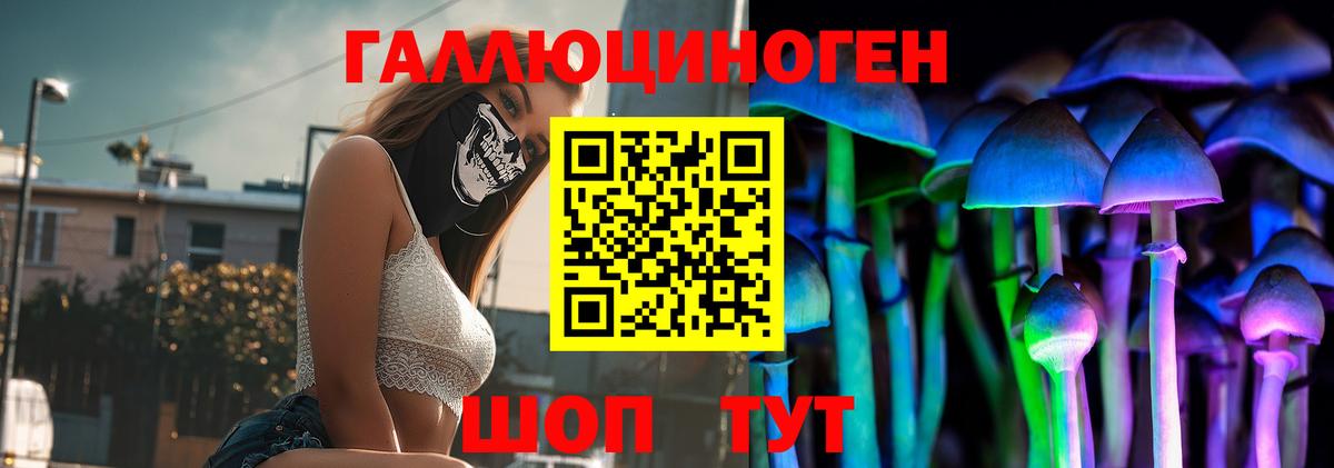 Псилоцибиновые грибы Psilocybe  Омск  Галлюциногенные грибы Cubensis 