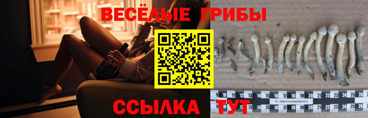 Омск  Псилоцибиновые грибы ЛСД  Вход с VPN 